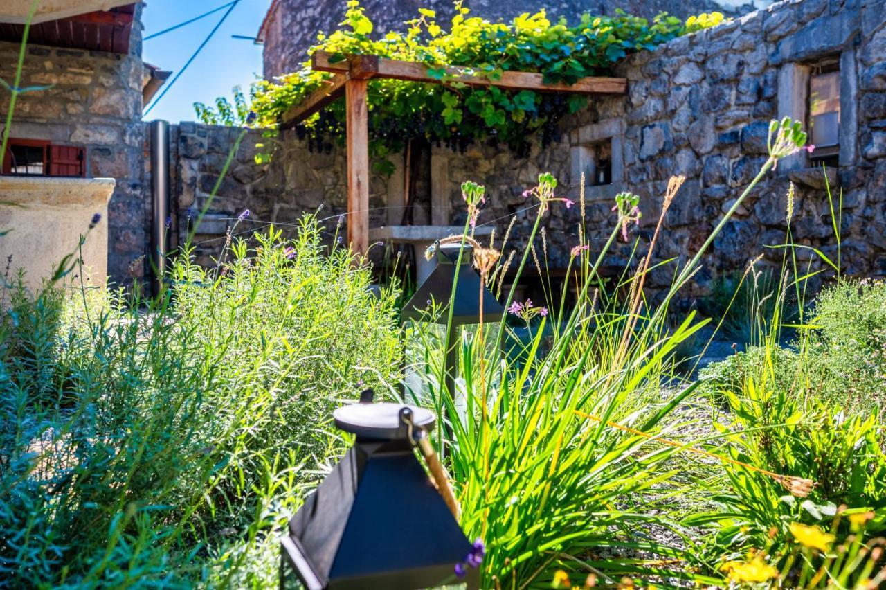 Villa Karst House Zan Pliskovica With Private Pool Dutovlje Exterior foto
